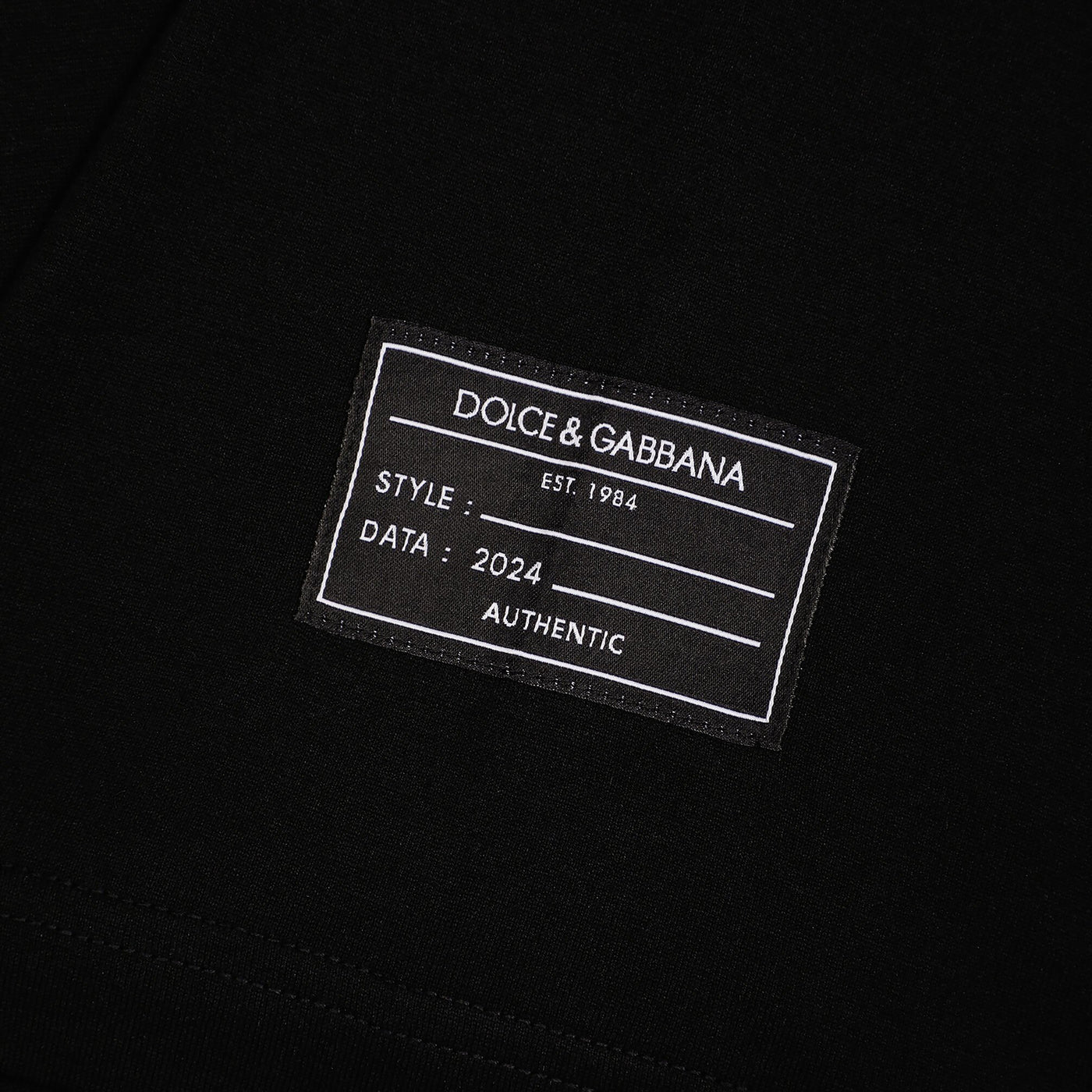Dolce & Gabbana Vertical Log Print T-Shirt