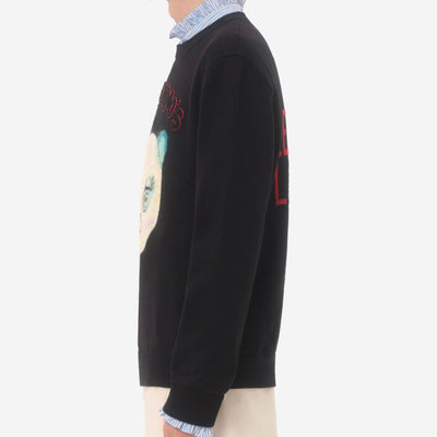 Valentino Garavani Le Chat De La Maison Patch Knitwear